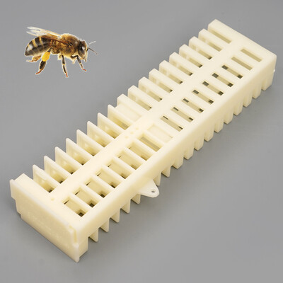 10 db műanyag méhkirálynő ketrec Méhészeti készlet Fehér Biztonsági Többfunkciós Stretch Hutchs Eszközök Méhészeti kellékek Eszközök