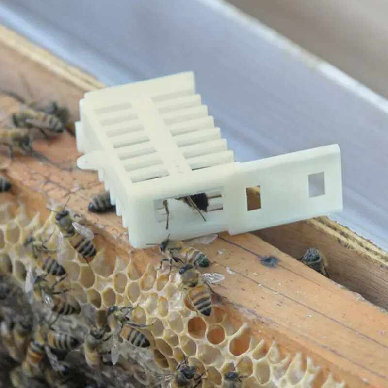 10 db műanyag méhkirálynő ketrec Méhészeti készlet Fehér Biztonsági Többfunkciós Stretch Hutchs Eszközök Méhészeti kellékek Eszközök