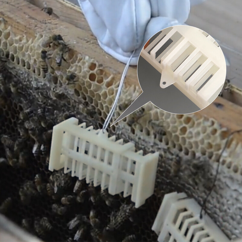 10 db műanyag méhkirálynő ketrec Méhészeti készlet Fehér Biztonsági Többfunkciós Stretch Hutchs Eszközök Méhészeti kellékek Eszközök