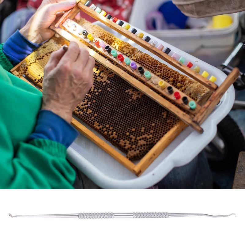 Lárva átvivő tű méhészeti féreg mozgatható oltószerszámok dupla fejű rozsdamentes acél kaptár eltolódás a méhkirálynő neveléséhez