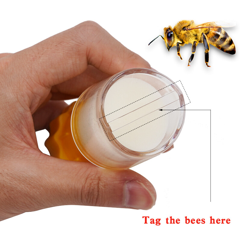 Új méhészeti eszközök Méhkirálynő jelölőüveg Királynő méhfogó ketrec Egykezes jelölőpalack dugattyú plüss méhész 1db