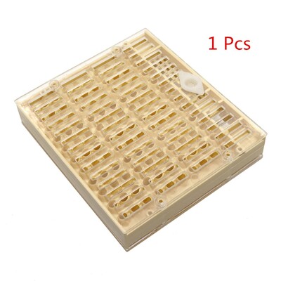 Cell Cup Box komplekts Bišu karaliene Audzēšanas sistēmas instrumenti Plastmasas biškopības aprīkojums Biškopju saimniecība Bišu instrumenti