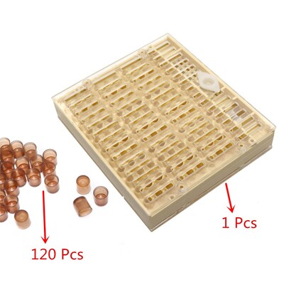 Cell Cup Box komplekts Bišu karaliene Audzēšanas sistēmas instrumenti Plastmasas biškopības aprīkojums Biškopju saimniecība Bišu instrumenti