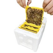 1 set Regina Albine Creșterea Împerechere Stup de Albine Instrumente pentru Apicultură Spuma Stupi Nuc Recolta Polenizare Albine Cutie Stupi Furnizori Apicultori