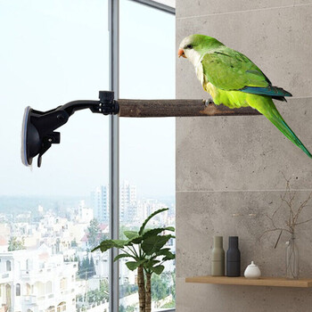 Parrot Perch Birdcage Accessories Bird Standing Stick Wood Perch Prevent Slip Διαδραστική Βεντούζα Βεντούζας Βάσης Πέρκας για Πουλί