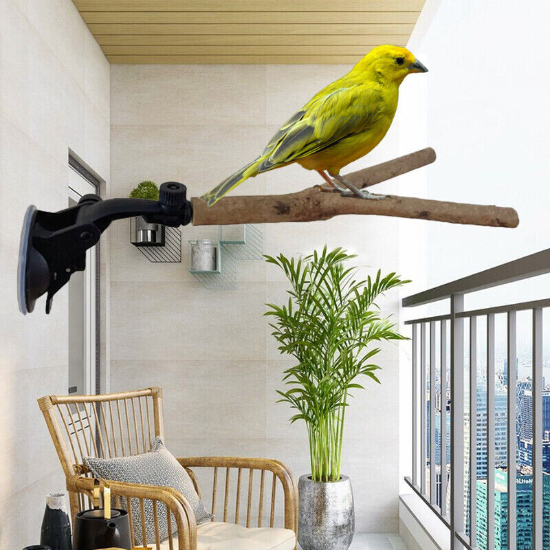 Parrot Perch Birdcage Accessories Bird Standing Stick Wood Perch Prevent Slip Διαδραστική Βεντούζα Βεντούζας Βάσης Πέρκας για Πουλί