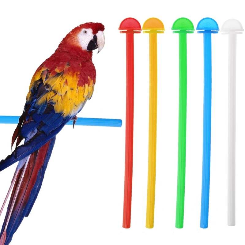 Πλαστικό κλουβί πέρκα 5 συσκευασιών Parrot Bird Standing Stick Grinding Bar for Small Bird Εύκολα στην εγκατάσταση Τυχαία χρώματα