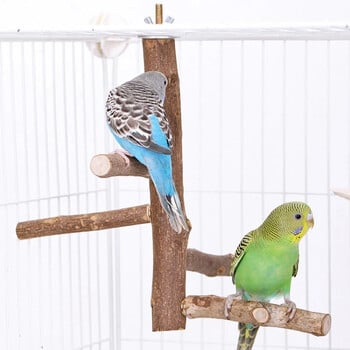 Φυσικό Parrot Perch Bird Stand Tree Rods Claw Grinder Long Tailed Parakeet Climbing Standing Tree Branch Bird Cage Accessories