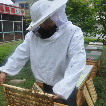 Hot Selling Bee Keeping Tools Bee Keeping Clothes Bee Proof Ρούχα Split Bee Proof Ρούχα Προστατευτικά ρούχα Πέπλο με καπέλο