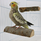 Drevený skákací mostík pre papagáje, jablko, odpočívadlo pre papagáje, skákacia plošina, brúsny pazúr, palica na státie pre vtáky, tyč na státie