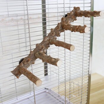 Bird Ladder Perch Cage Nature Wood Stand παπαγάλος μασώμενο παιχνίδι για μικρό μεσαίο ζώο παπαγάλου