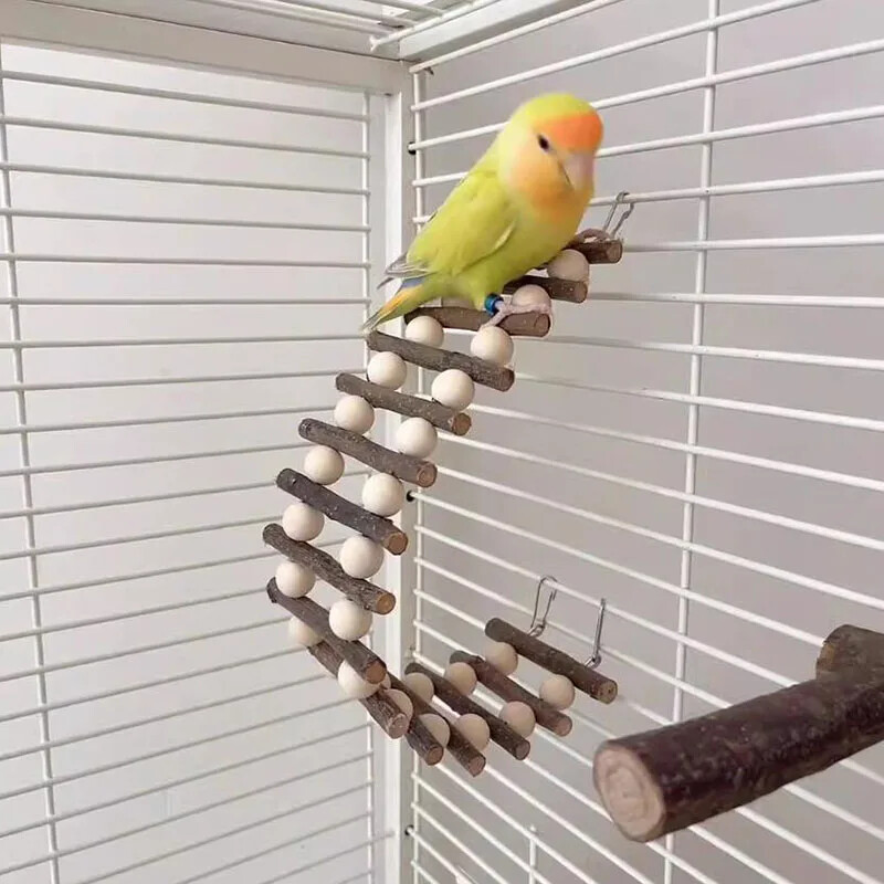 Dabīgs ābols Koks Putni Mājdzīvnieki Papagaiļi Kāpnes Kāpšanas Rotaļlieta Piekārtas Krāsainas Bumbiņas Papagaiļi Rotaļlietas Conures Papagaiļi Kaktiles