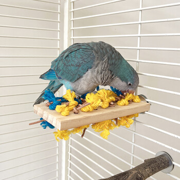 Bird Wood Platform Parrot Perch Stand Parakeet Παιδική χαρά Ράφι Κλουβί Bird Cage Αξεσουάρ για Budgies Parakeets Cockatiels