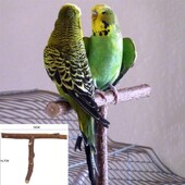 Bird Parrot Cage Toys Training T Perch Grinding Chewing Parakeet Wood Stand