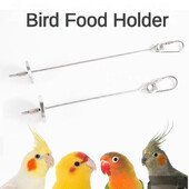 Pet Parrot Bird Rack Τροφίμων από ανοξείδωτο ατσάλι Φρούτα Spear Stick Διαδραστικό τροφοδότη Παιχνίδι τροφοδοσίας πουλιών Κρέας λαχανικών για σουβλάκι