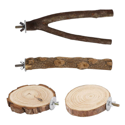 Papagailis Ābols Koka Jumpbords Papagailis Atpūtas Platforma Lēca Platforma Slīpēšana Spīļputns Stāvs Nūja Stāvs Pole