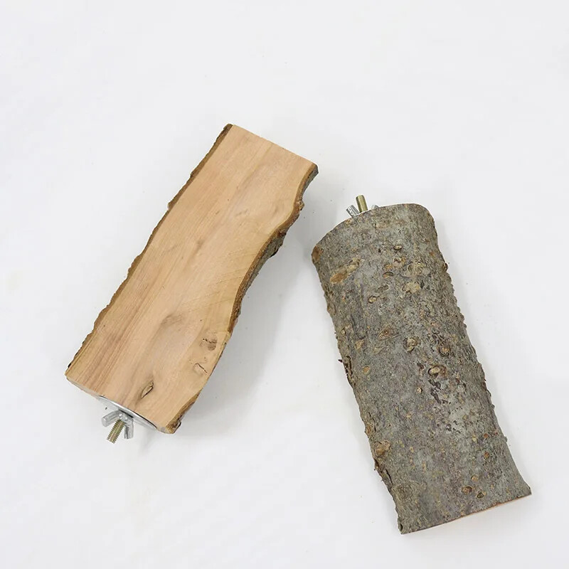 Papagailis Ābols Koka Jumpbords Papagailis Atpūtas Platforma Lēca Platforma Slīpēšana Spīļputns Stāvs Nūja Stāvs Pole