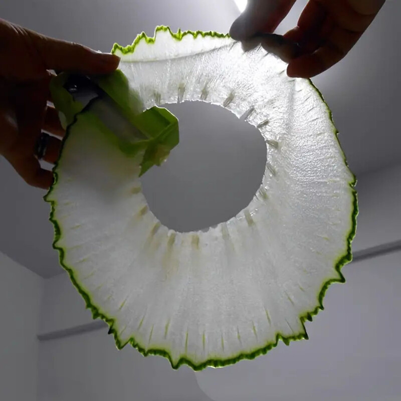 Itin plonos agurkų pjaustyklės su veidrodžiu, skirtos kaukei Grožio pjaustyklė Agurkų galandiklis Skustukas Virtuvės vaisių ir daržovių įrankiai Peilis