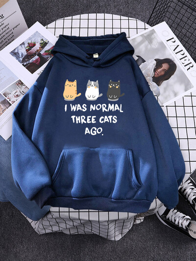 Ήμουν κανονικός πριν από τρεις γάτες Φούστες για γυναίκες Νέα γυμναστική αθλητικά ρούχα Fleece χαλαρό πουλόβερ Φθινοπωρινό Crewneck Γυναικεία ρούχα