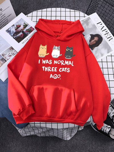 Ήμουν κανονικός πριν από τρεις γάτες Φούστες για γυναίκες Νέα γυμναστική αθλητικά ρούχα Fleece χαλαρό πουλόβερ Φθινοπωρινό Crewneck Γυναικεία ρούχα