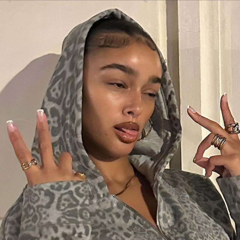 High Street Y2K Pulover Hanoră Femei Gotic Anii 90 Leopard Hanoră Set Streetwear Hanorac Îmbrăcăminte vintage Punk Loose Hip Hop