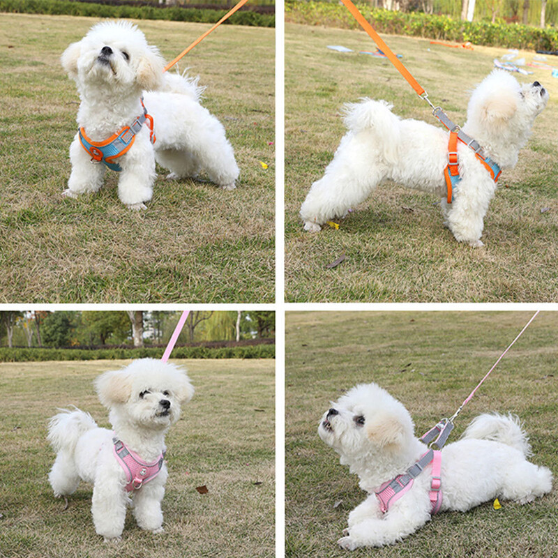 Prekogranični reflektirajući mrežasti povodac za pse, povodac za kućne ljubimce, povodac za mačke, povodac za pse, veleprodaja proizvoda za kućne ljubimce na zalihama