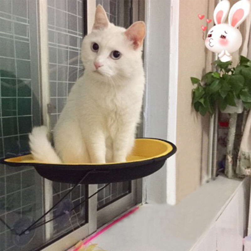 2024 Viseća mreža za mačje prozore Okvir za penjanje Kućni ljubimac Mačići Visi Krevet za spavanje Mačke Sunčano sjedalo pod prozorom Ležaj za gnijezdo 15 kg Dodaci za mačke