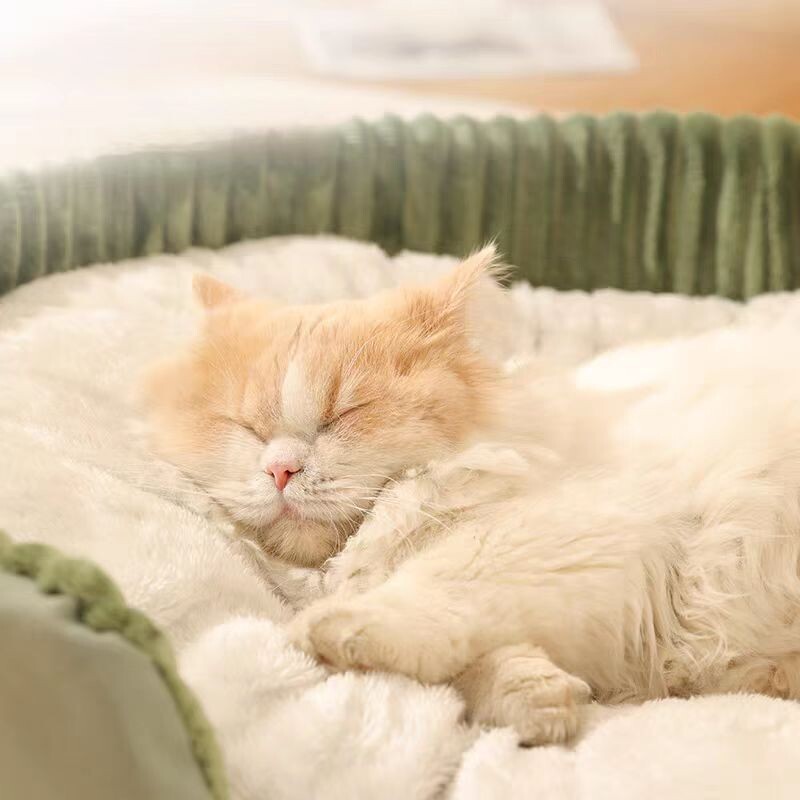 Podebljani topli krevet za mačke za kućne ljubimce Uklonjive košare za mačke koje se mogu prati Podloga za jastuke Četvrtasta plišana kućica za male srednje pse na razvlačenje