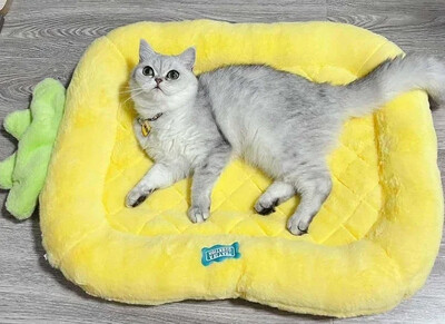 Covoraș pentru pisici Pernă de dormit pentru pisici de companie Pernă pentru pat pentru pisici Saltea Covoraș pentru podea pentru animale de companie Canisa Covoraș pentru câini cald pentru iarnă Accesorii pentru animale de companie