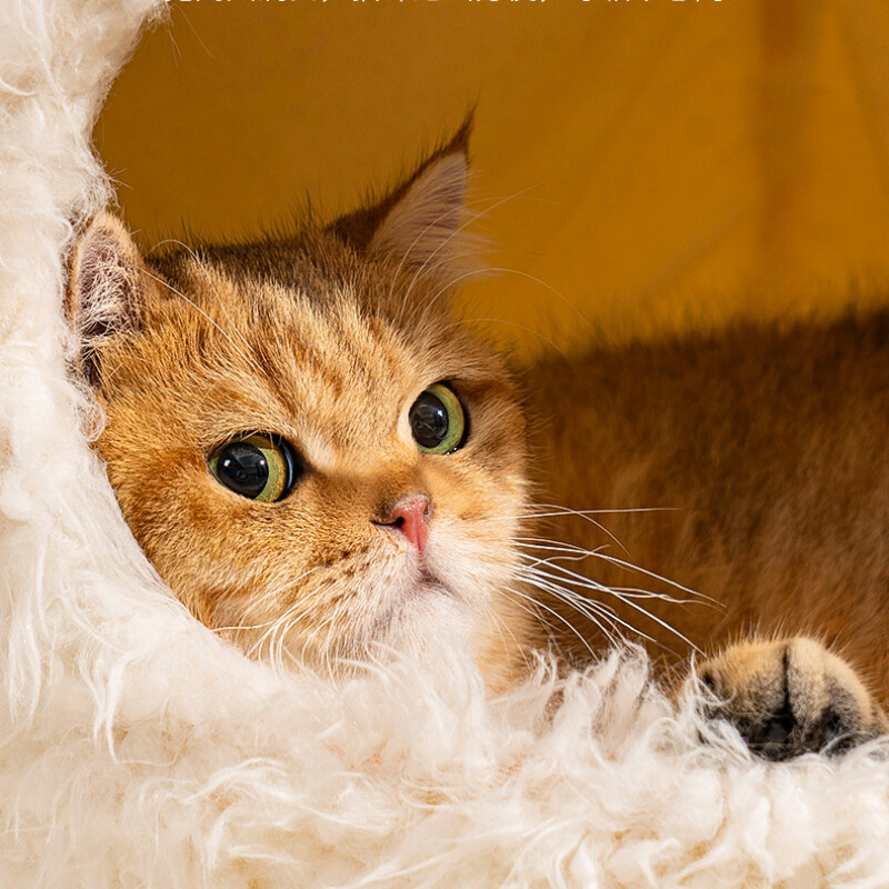 Vrlo mekana kućica za mačke Deep Sleep Udoban krevet za mačke Topli plišani kreveti za kućne ljubimce Prikladni za male i srednje velike krevete za mačke/pse