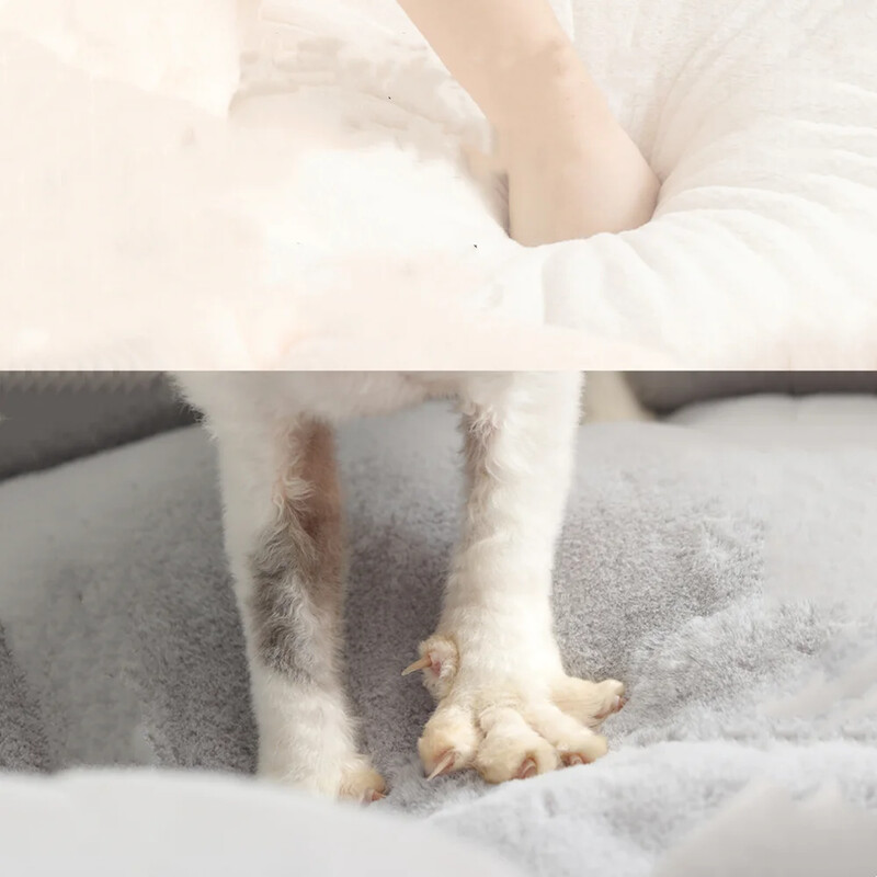 Paturi rotunde și lungi de pluș pentru animale de companie Animale de companie din peșteră de dormit Cuib de somn Canapea pentru animale de companie Pat căldură pernă pentru șezlong Casă pentru pisici Produse pentru interior pentru pisici