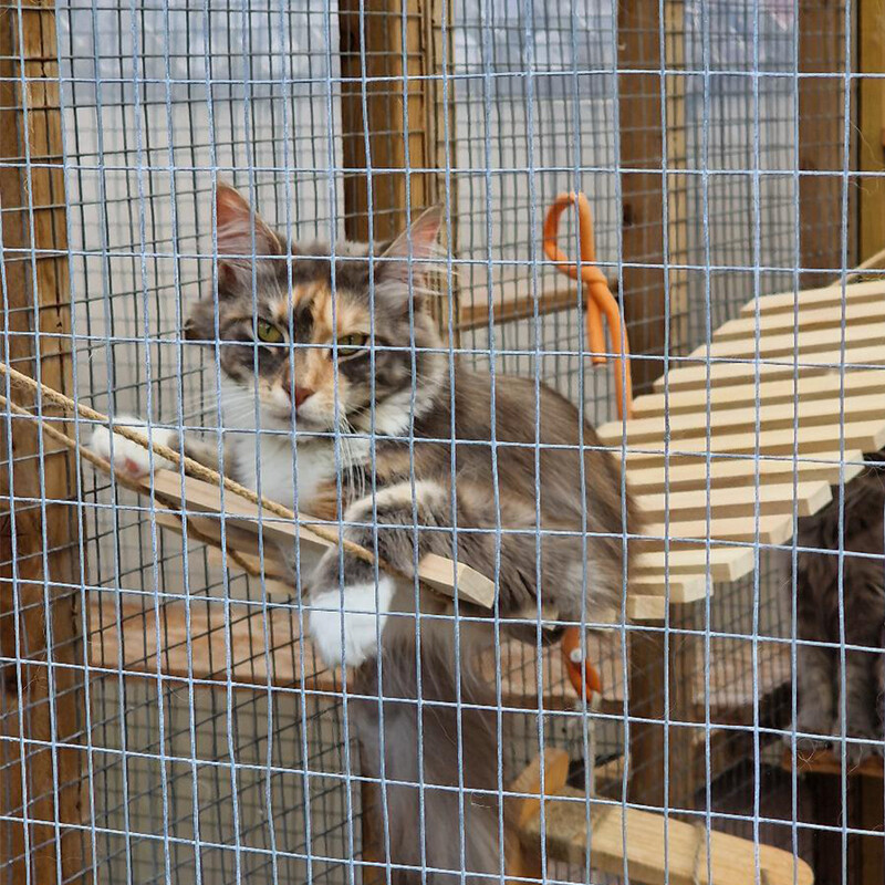 Viseći most za mačke Kavez za mačke Užad od sisala Ljestve Namještaj za kućne ljubimce Mjesec Viseća mreža Mačka Stablo Toranj Pedala Aktivnost mačke Spavanje