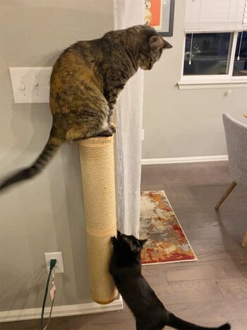 Cat Scratching Post Έπιπλα τοίχου Ξύλινα επιτοίχια Kitten Scratcher Tree για μεγάλες γάτες Πιο χοντρές στήλες για πολλαπλές λειτουργίες