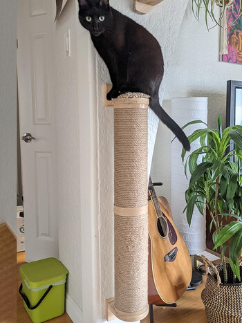 Cat Scratching Post Έπιπλα τοίχου Ξύλινα επιτοίχια Kitten Scratcher Tree για μεγάλες γάτες Πιο χοντρές στήλες για πολλαπλές λειτουργίες