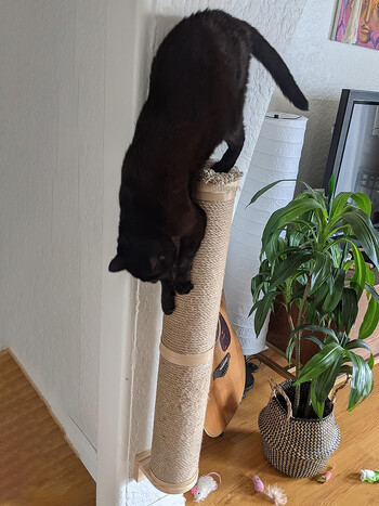 Cat Scratching Post Έπιπλα τοίχου Ξύλινα επιτοίχια Kitten Scratcher Tree για μεγάλες γάτες Πιο χοντρές στήλες για πολλαπλές λειτουργίες