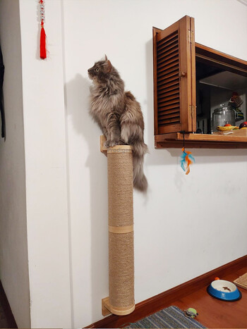 Cat Scratching Post Έπιπλα τοίχου Ξύλινα επιτοίχια Kitten Scratcher Tree για μεγάλες γάτες Πιο χοντρές στήλες για πολλαπλές λειτουργίες