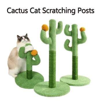 Cactus Cat Scratching Board Scraper Cat Cactus for Young and Ενήλικες γάτες Πλαίσιο αναρρίχησης γάτας Διαδραστικό παιχνίδι γρατσουνίσματος για γατάκια