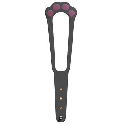 Paindlik riivrihm Kodu Kassiliivakastid Reguleeritav Hoiab koerad kiiresti eemal Lemmikloomade väravad Riivi rihm Kassiukse hoidja Lukk Kassiuks