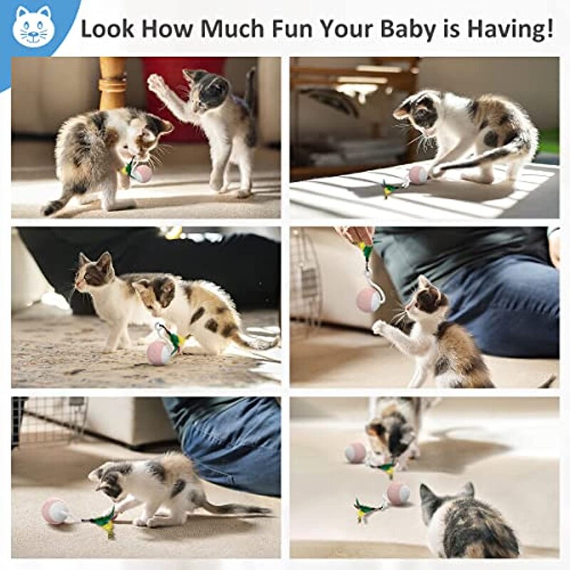 ATUBAN Cat Toy Smart Robotic, Cat Toys for Indoor Cat, Automatic Moving Loptic with Feather Kitten Toys in Pack.USB Punjiva