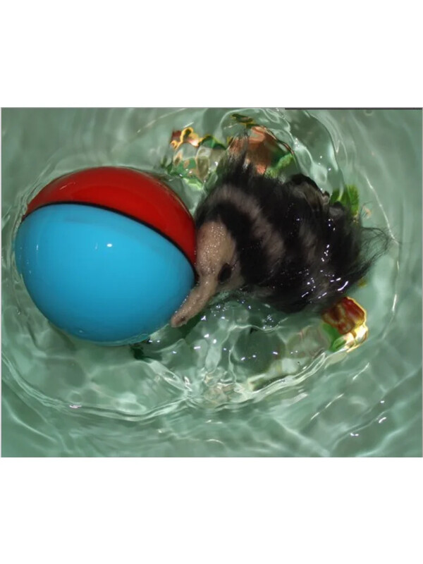 Jucării pentru pisici, castor, nevăstuică, cu motor de rulare, jucărie cu bilă pentru animale de companie, câine, pisică electrică pentru animale de companie, minge distracție în mișcare, culoare aleatorie