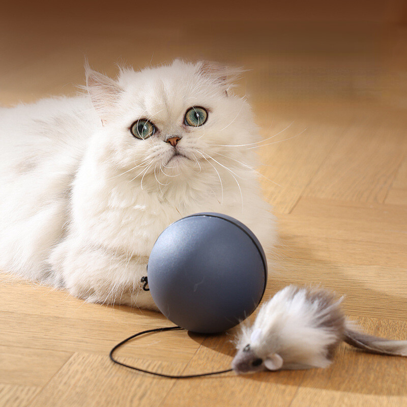 Intelligens interaktív macskajáték labda egerekkel Automatikusan gördülő gonosz golyók harapásgátló macskajátékok Beltéri macskagolyós játékok