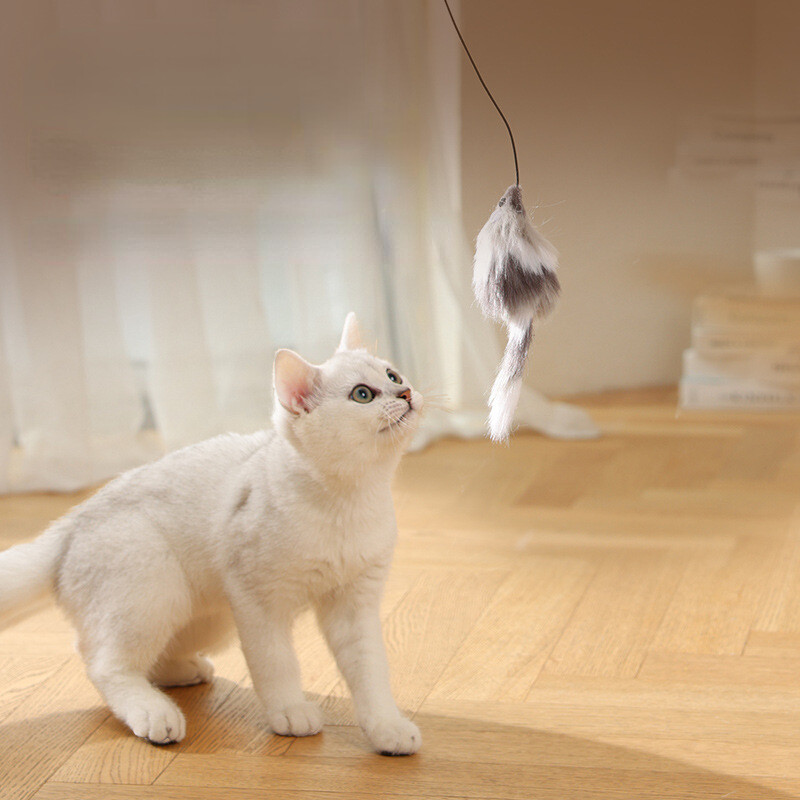 Intelligens interaktív macskajáték labda egerekkel Automatikusan gördülő gonosz golyók harapásgátló macskajátékok Beltéri macskagolyós játékok