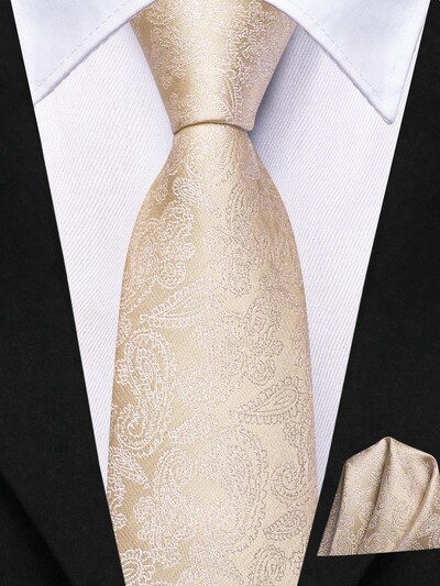 Zīda kaklasaite bērniem Mint Green Paisley Luxury Designer Handky Child kaklasaite 120cm gara 6CM plata modes ballītes dropship hi-tie