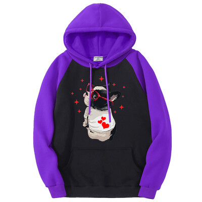 Χαριτωμένο Dog Look Back Color Collision Hoodies Ανδρικά Φθινοπωρινά Φαρδιά Φλις Ρούχα Φλις Φλις Ρούχα Harajuku Raglan Φούτερ πουλόβερ Άνδρας