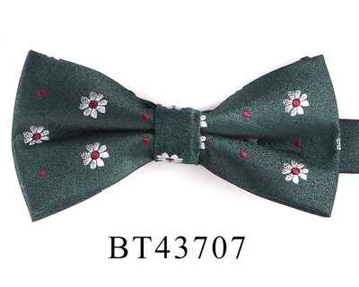 Papion pentru bărbați de culoare verde Papion pentru bărbați femei papion ocazional băieți papion cravate costume papion pentru petrecere de nuntă cravată masculină