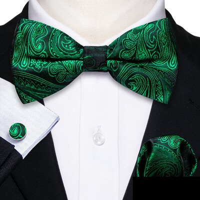 Barry.Wang roheline sinakassinine piparmünt Salvei siidist meeste kikilips Jacquard Paisley lilleline eelseotud kikilips Hanky mansetinööpide komplekt pulmaäri