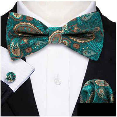 Barry.Wang roheline sinakassinine piparmünt Salvei siidist meeste kikilips Jacquard Paisley lilleline eelseotud kikilips Hanky mansetinööpide komplekt pulmaäri