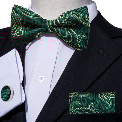 Barry.Wang roheline sinakassinine piparmünt Salvei siidist meeste kikilips Jacquard Paisley lilleline eelseotud kikilips Hanky mansetinööpide komplekt pulmaäri