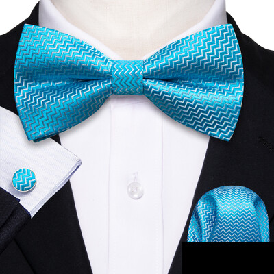 Barry.Wang roheline sinakassinine piparmünt Salvei siidist meeste kikilips Jacquard Paisley lilleline eelseotud kikilips Hanky mansetinööpide komplekt pulmaäri