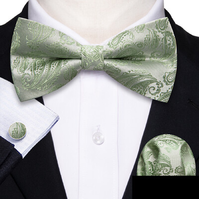 Barry.Wang roheline sinakassinine piparmünt Salvei siidist meeste kikilips Jacquard Paisley lilleline eelseotud kikilips Hanky mansetinööpide komplekt pulmaäri